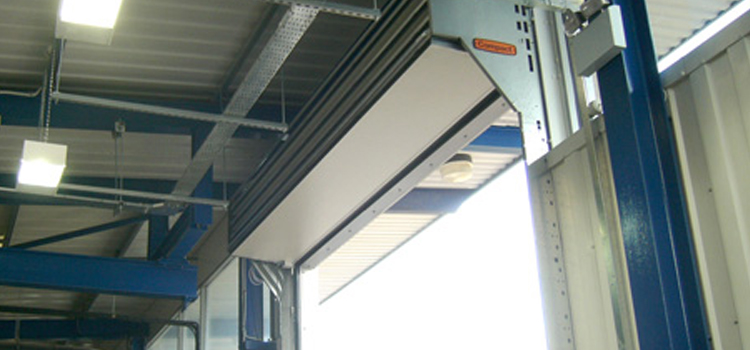 overhead sectional doors Casa de Oro-Mount Helix